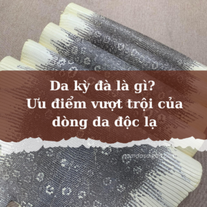 da kỳ đà
