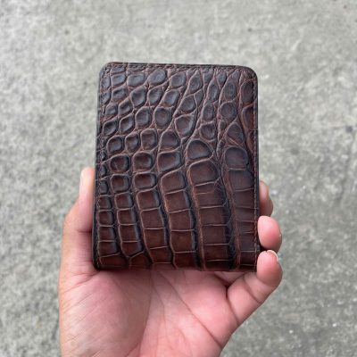 VÍ DA HÀM CÁ ALIGARTO VDHC02