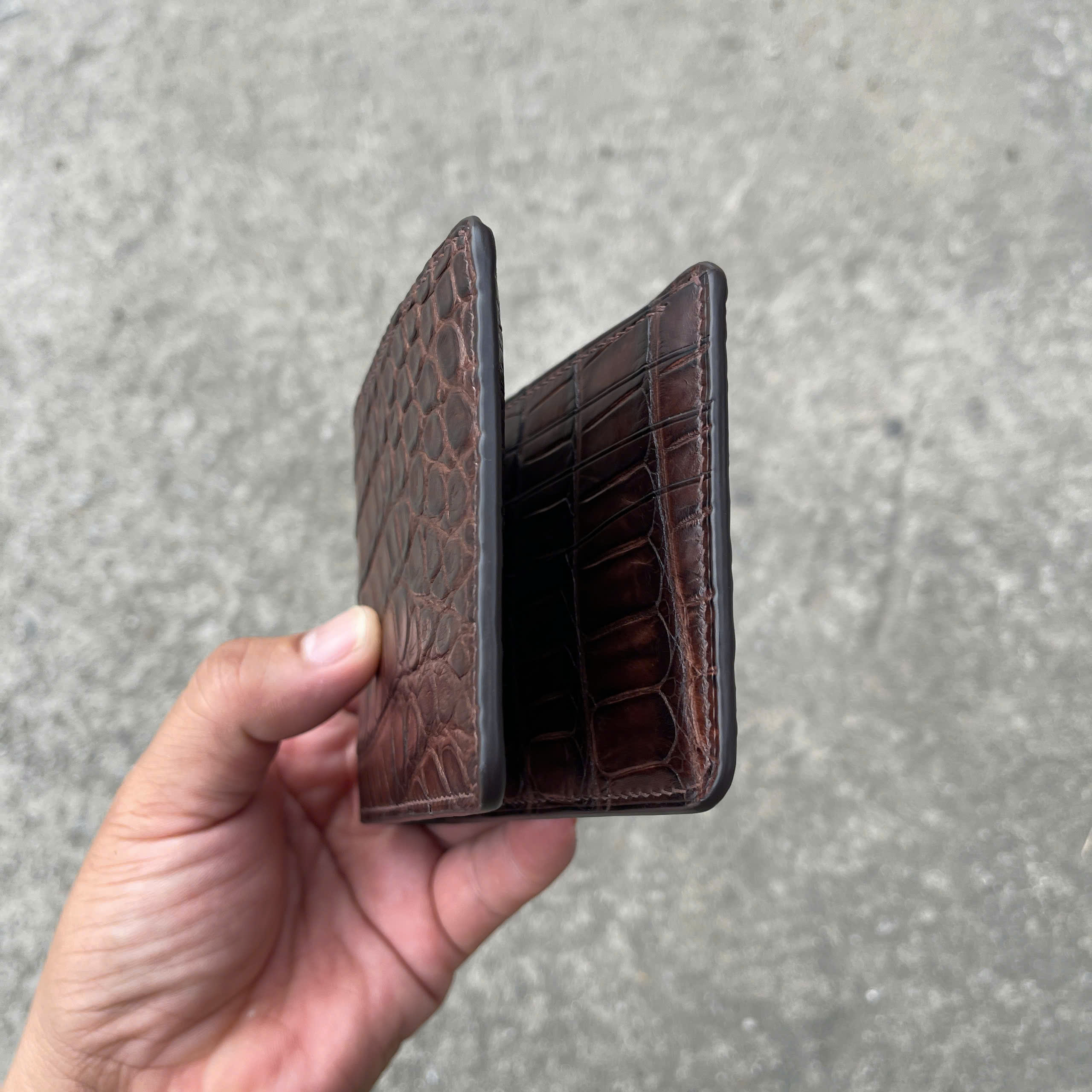 VÍ DA HÀM CÁ ALIGARTO VDHC02