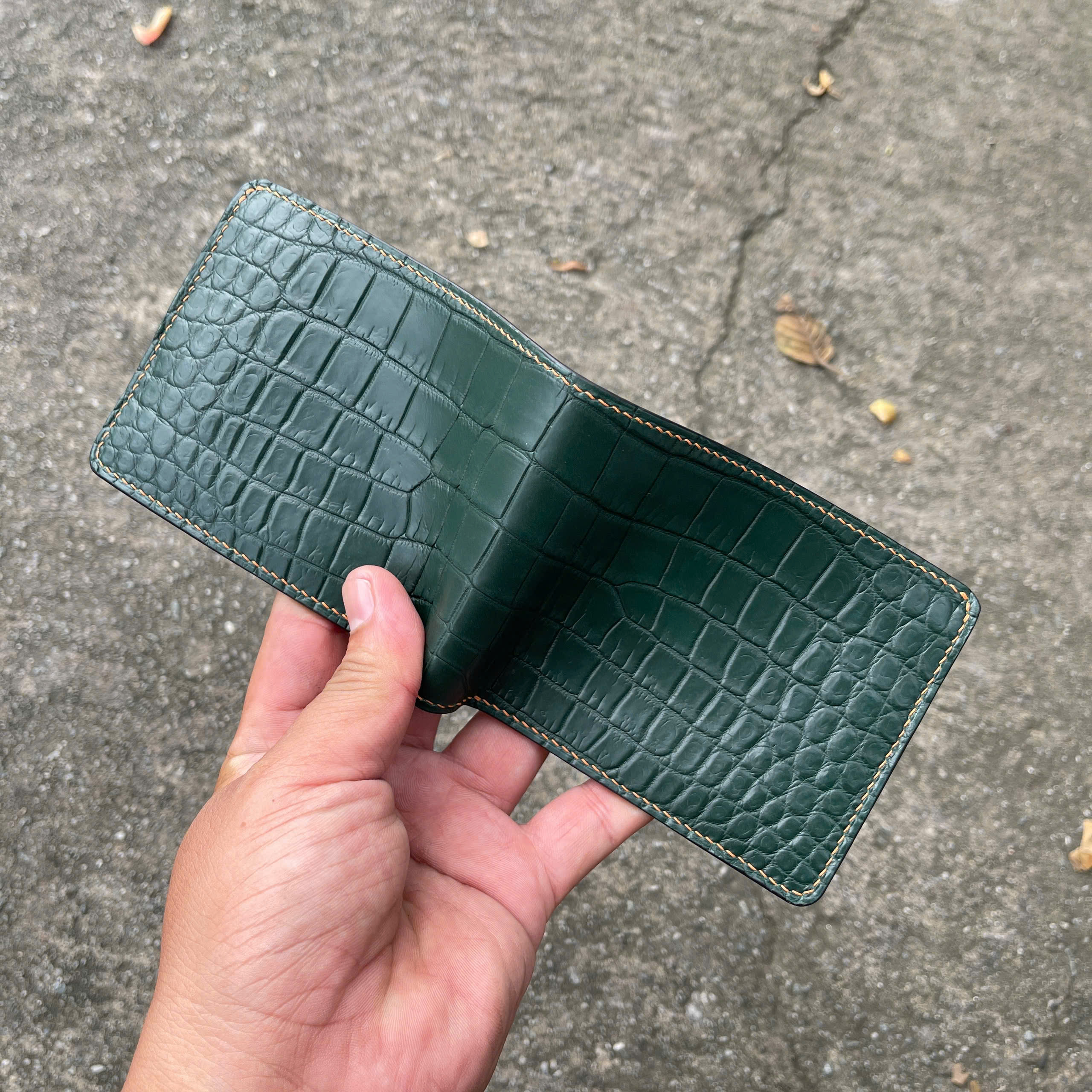 VÍ DA HÀM CÁ ALIGARTO VDHC02